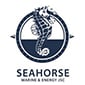 Seahorse Marine and Energy JSC