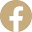 Facebook Icon Hover