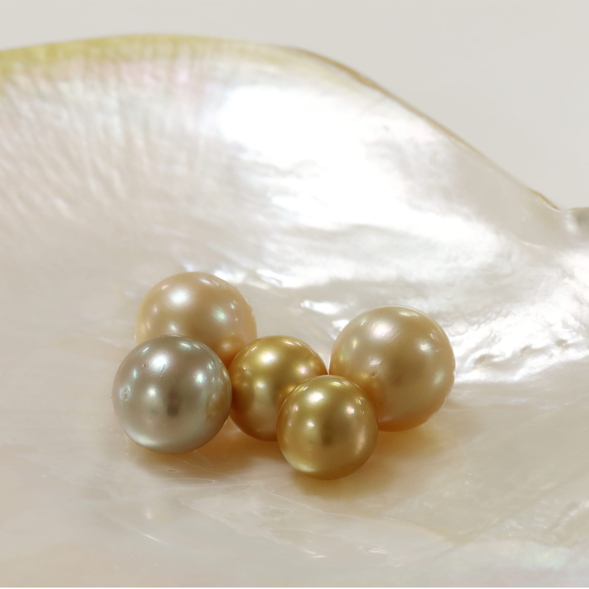 Saltwater/freshwater odd pearls