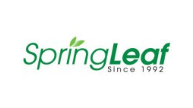 thương hiệu Spring Leaf