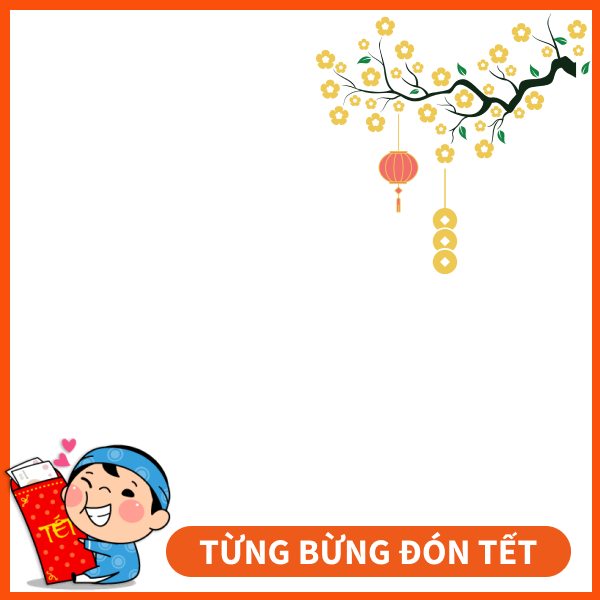 (COMBO 1KG) 2 HỘP HẠT ĐIỀU RANG MUỐI HIỆU TÂN LỘC PHÁT