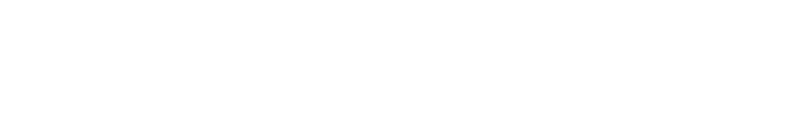 lady1vn