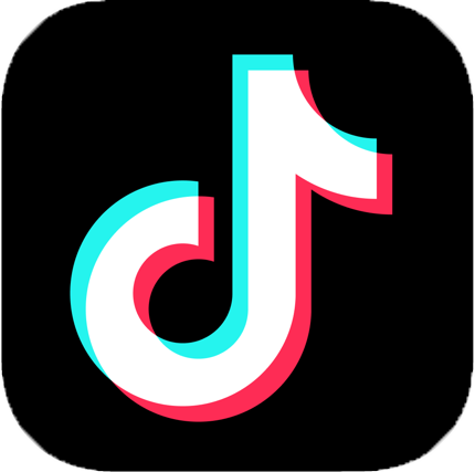 Mr VIỆN trên Tiktok