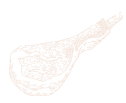 ĐÙI HEO IBERICO