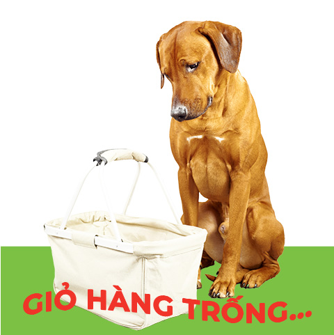 Giỏ hàng của bạn đang trống