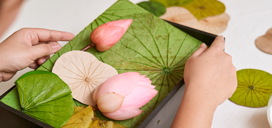 Ảnh về chúng tôi