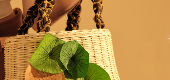 Ảnh về chúng tôi