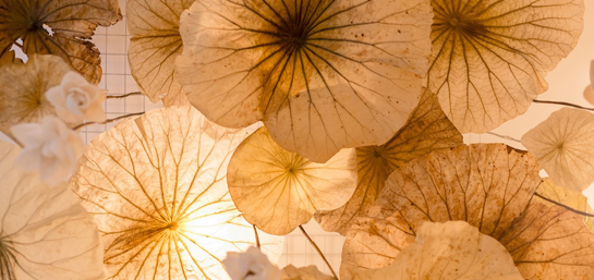 Ảnh về chúng tôi