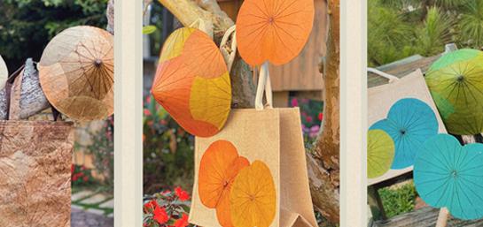 Ảnh về chúng tôi