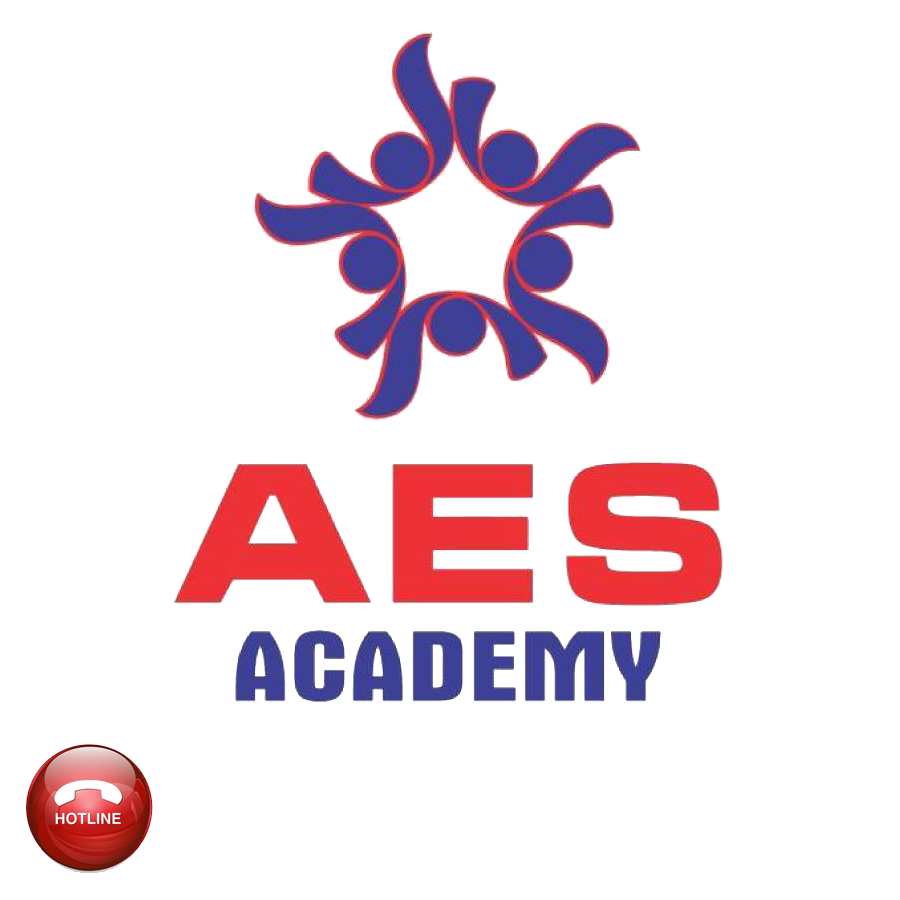AES Academy