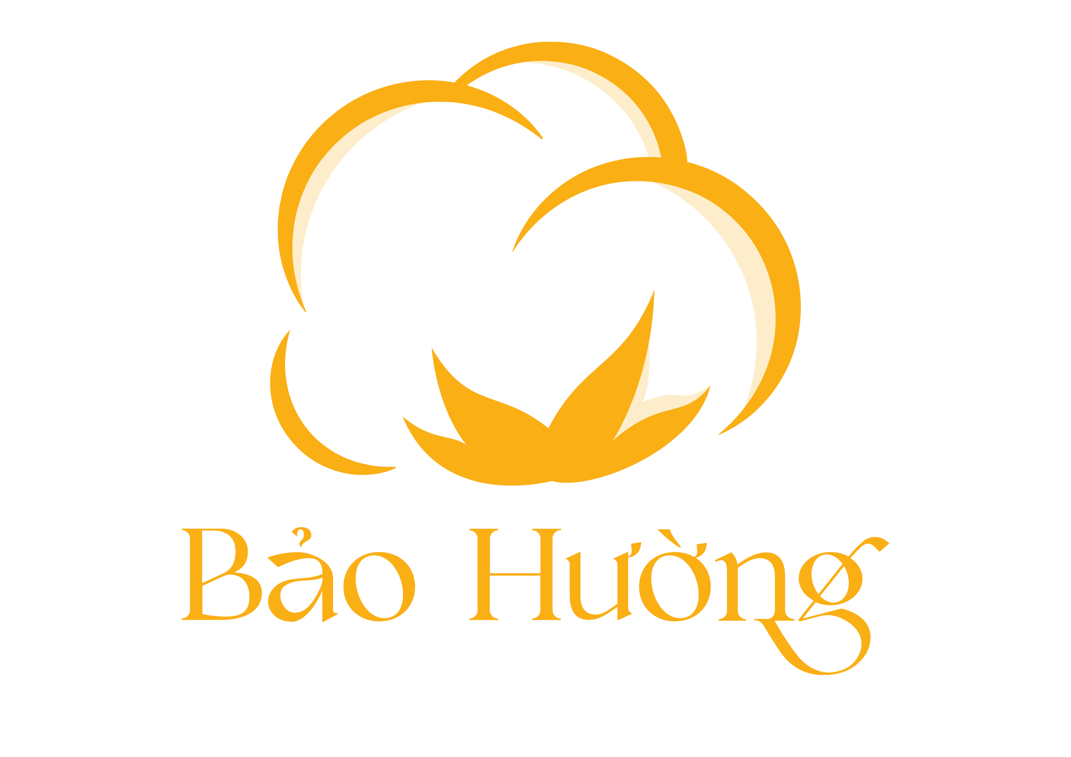 baohuongvn
