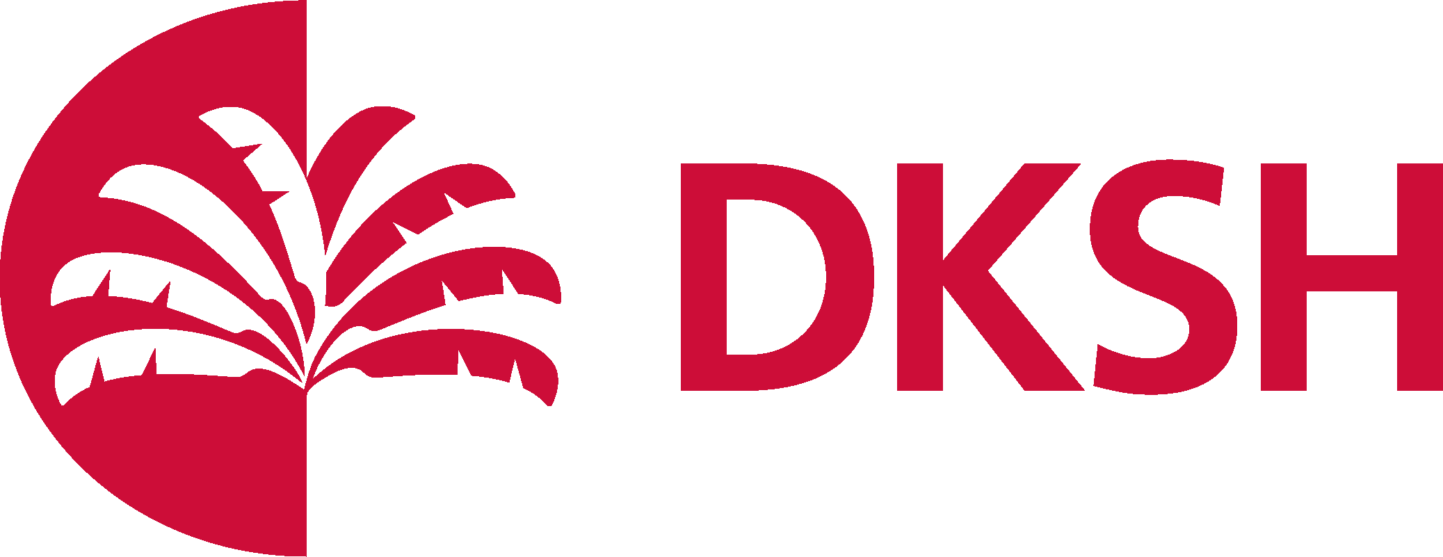 DKSH Consumer Health