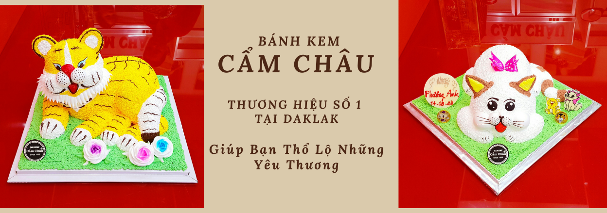 Ảnh banner