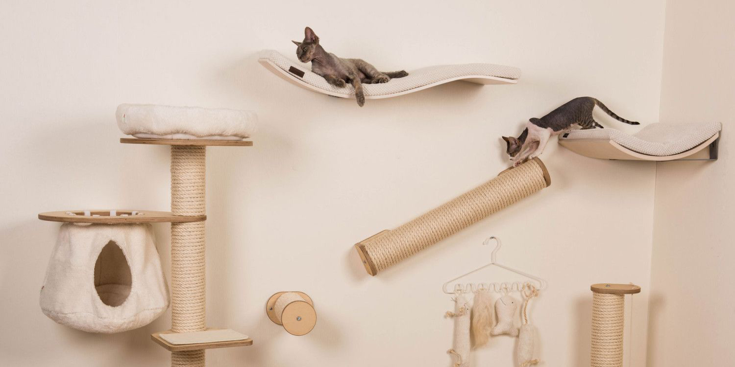 Home Main Slider Image 2