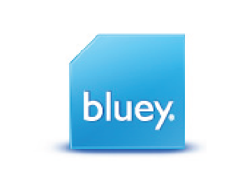 Bluey