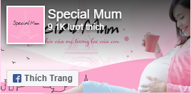 Fanpage Special Mum Việt Nam - Sức khỏe của mẹ, Tương lai của con