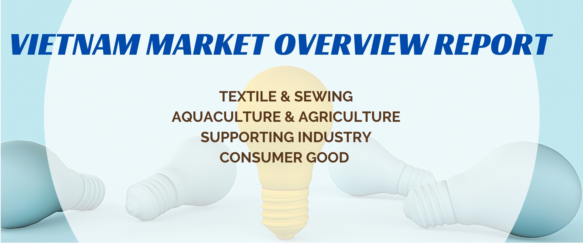 VIETNAM MARKET OVERVIEW REPORT