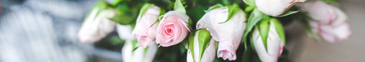 Florist's blog
