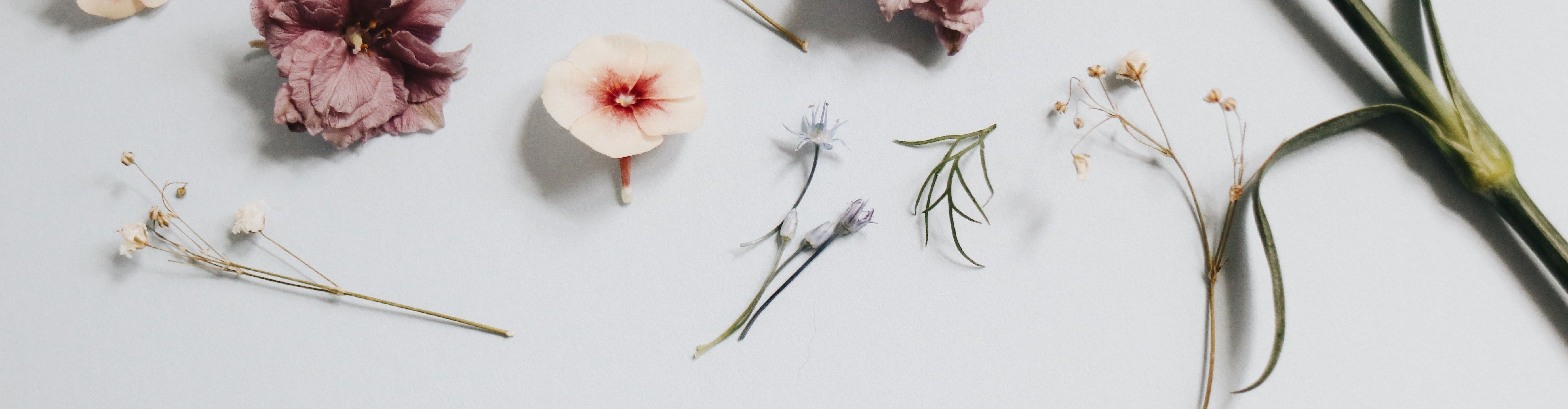 欄の花_HOALAN