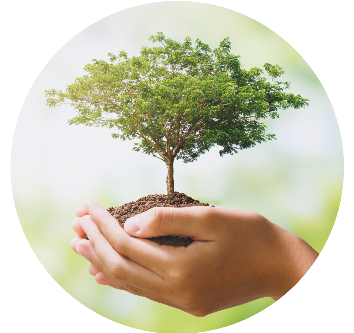 Phát triển bền vững