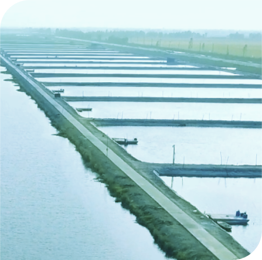 1. Thủy sản và những thách thức 