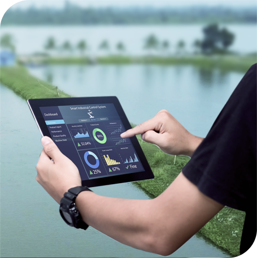  2. Cá không chỉ tốt, mà ao phải sạch 