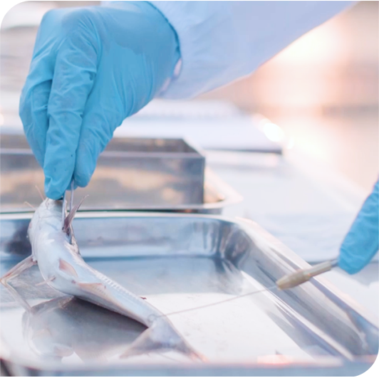 3. Sứ mệnh đồng hành 