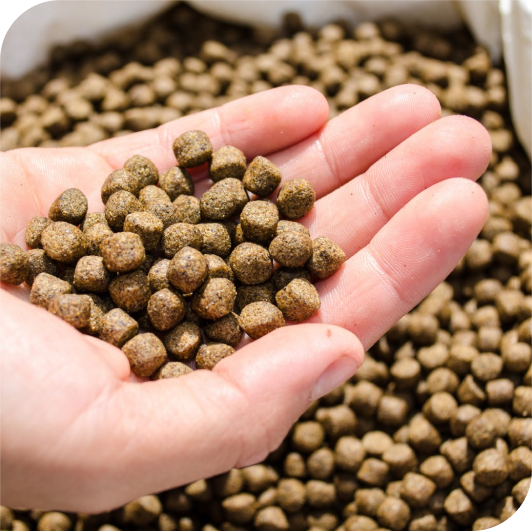 4. Hãy đổi mới và khác biệt 