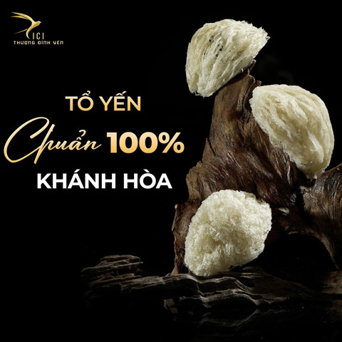 𝐓𝐨̂̉ 𝐘𝐞̂́𝐧 𝐂𝐡𝐮𝐚̂̉𝐧 𝟏𝟎𝟎% 𝐊𝐡𝐚́𝐧𝐡 𝐇𝐨̀𝐚