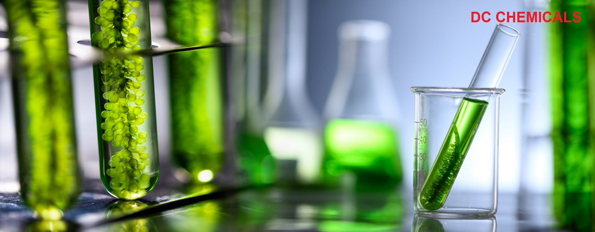 Hoạt chất chăm sóc tóc