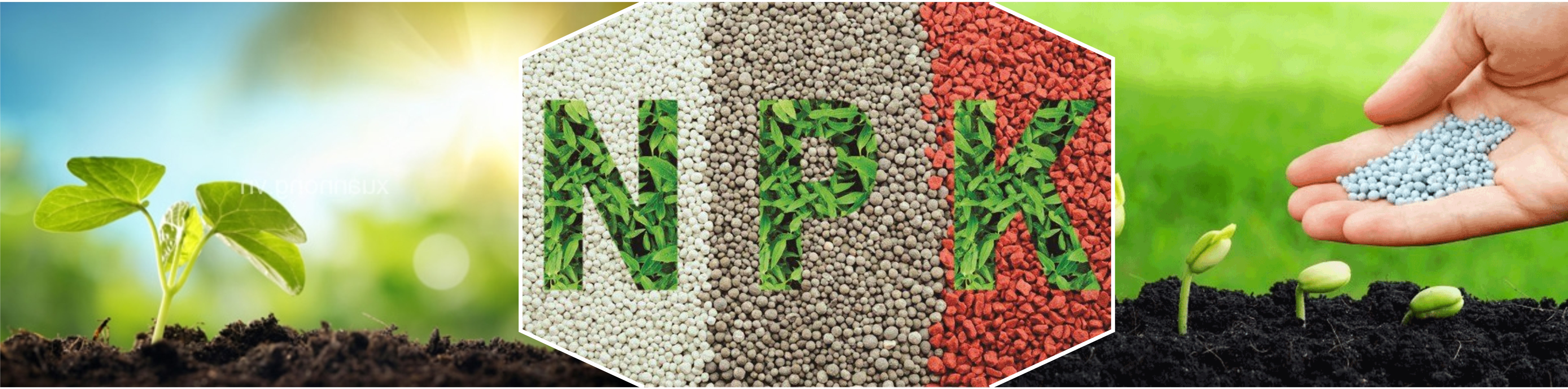 	Phân bao NPK hỗn hợp 