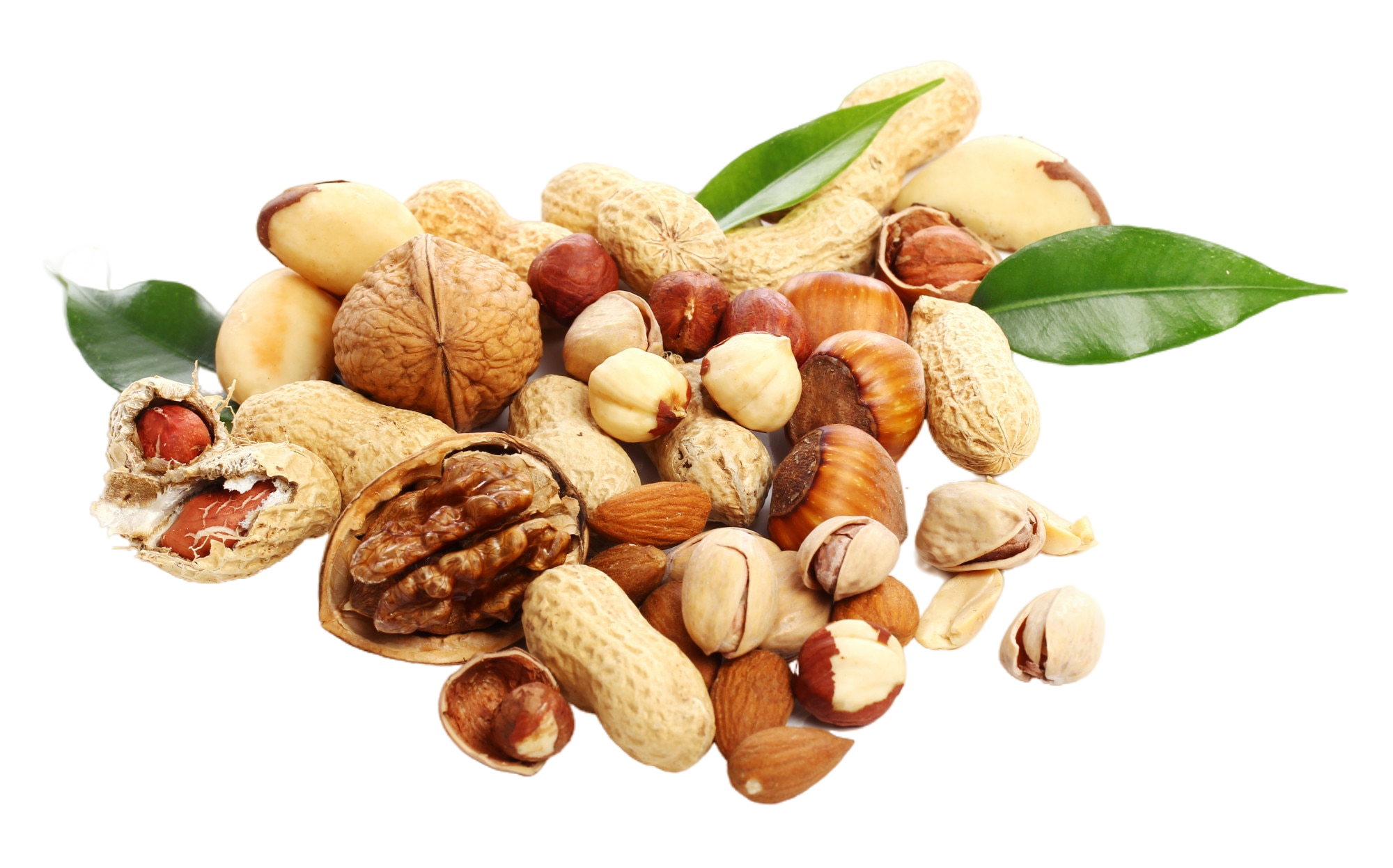 Dried Nuts
