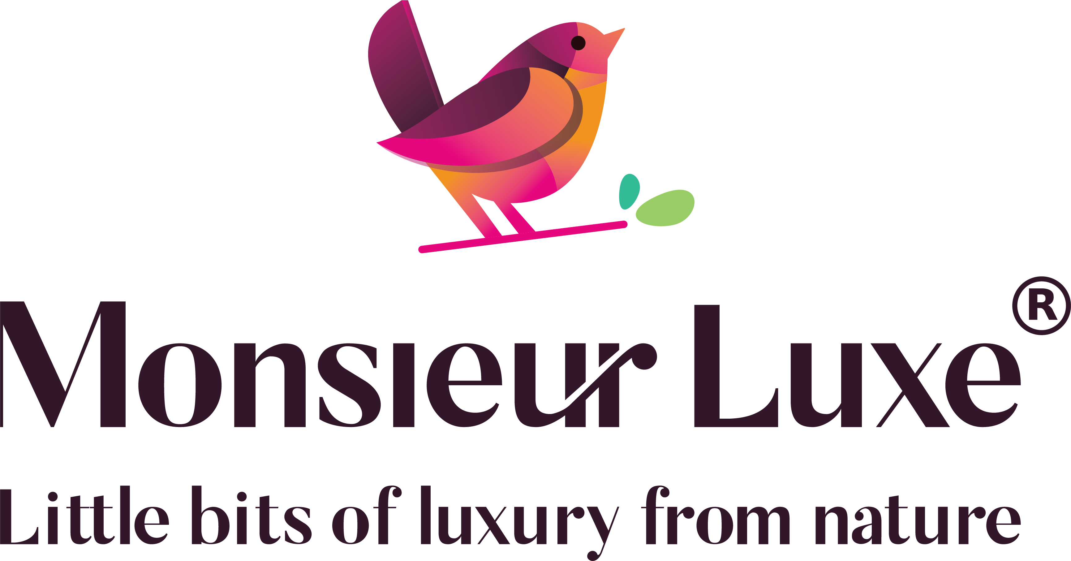 Monsieur Luxe