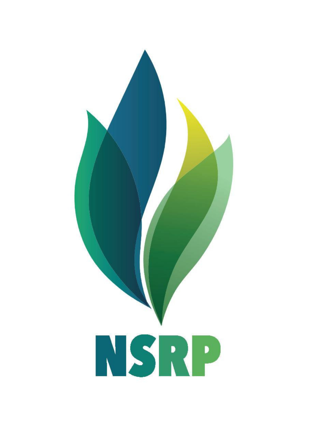 NGHI SON REFINERY AND PETROCHEMICAL LLC