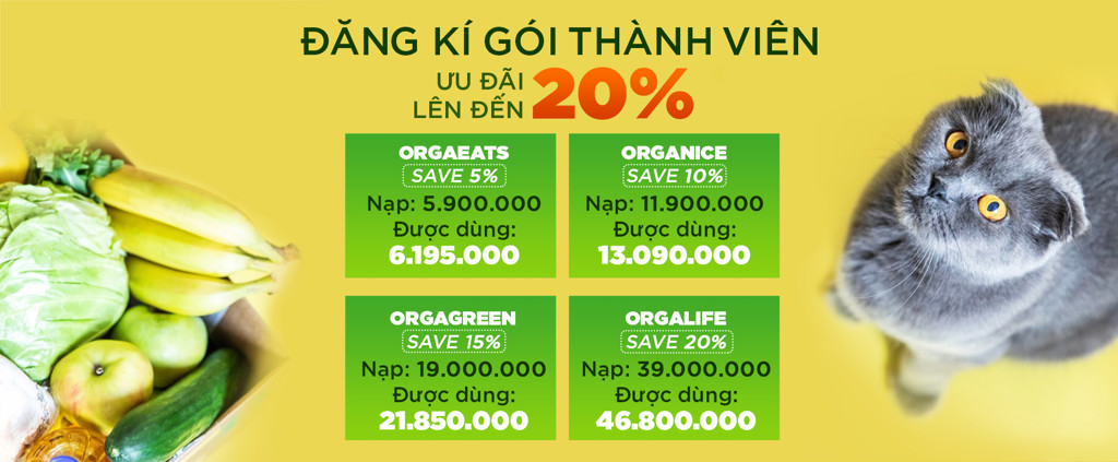 Hộp quà 8/3
