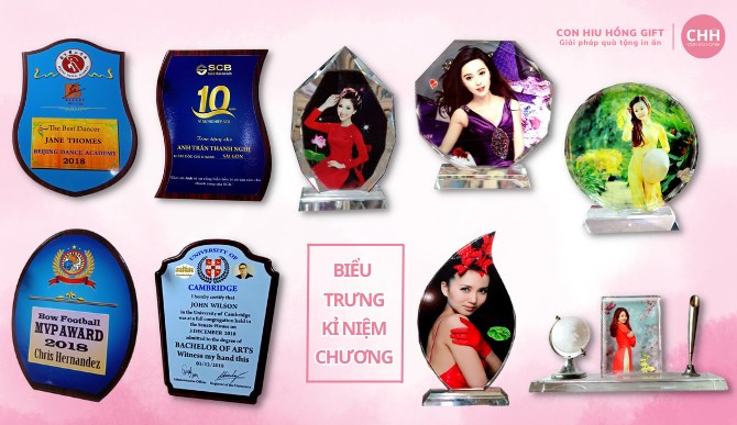 Kỉ niệm chương - Biểu trưng 