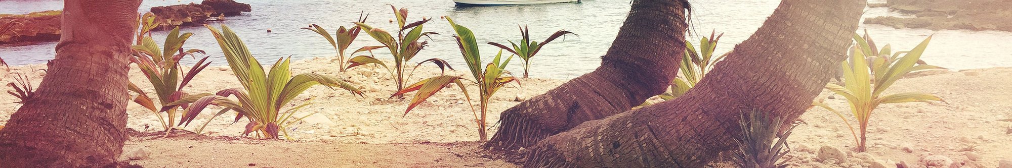 Tất cả bài viết