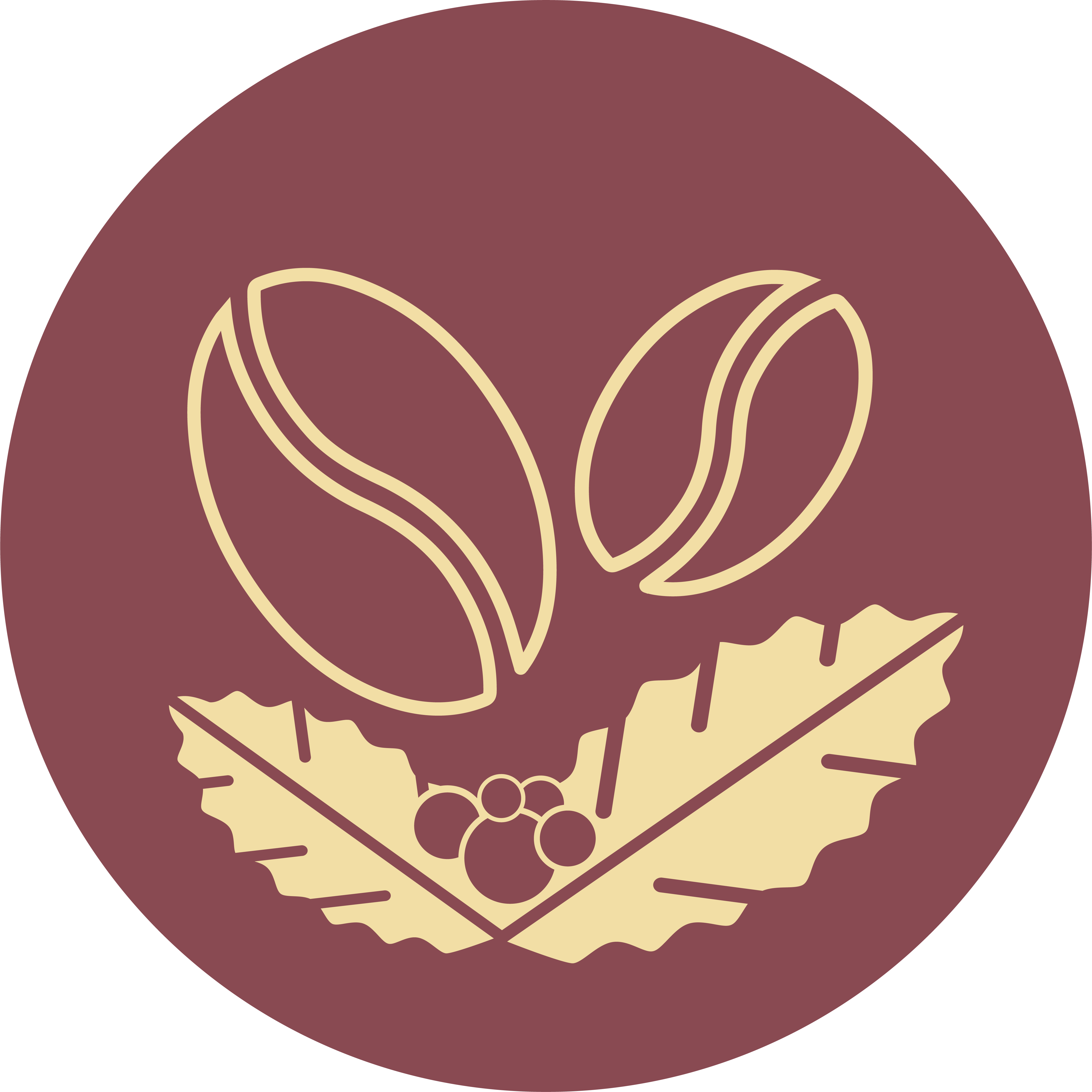 100% hạt cafe nguyên chất