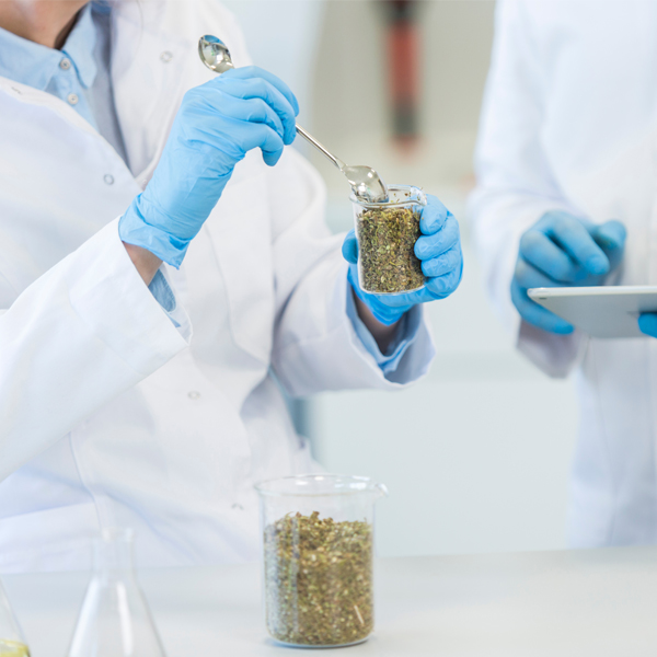 Sản phẩm nổi bật