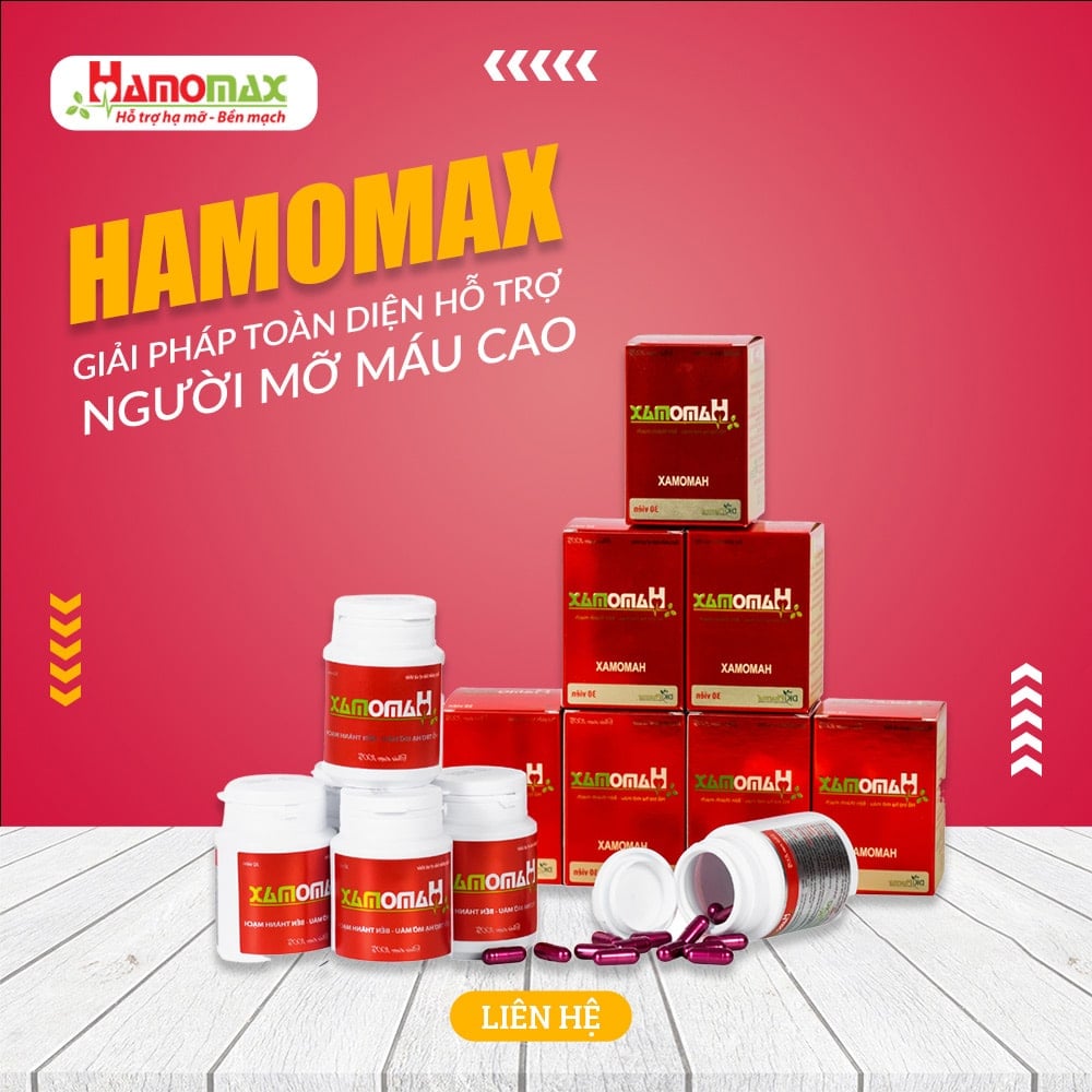 Hamomax giải pháp toàn diện hỗ trợ người máu mỡ cao 