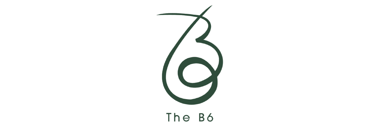 logo THEB6
