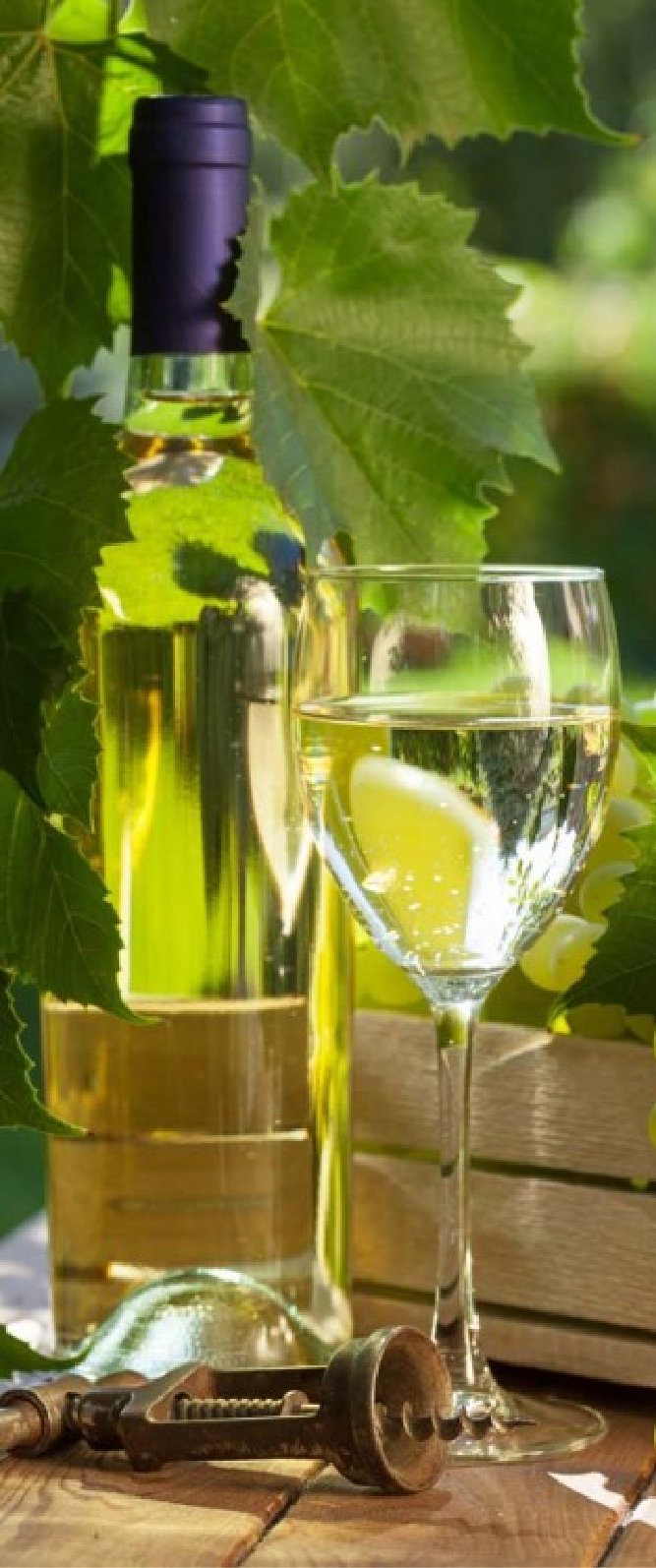 en_blackfriday_001_coll_banner_img_2.jpg