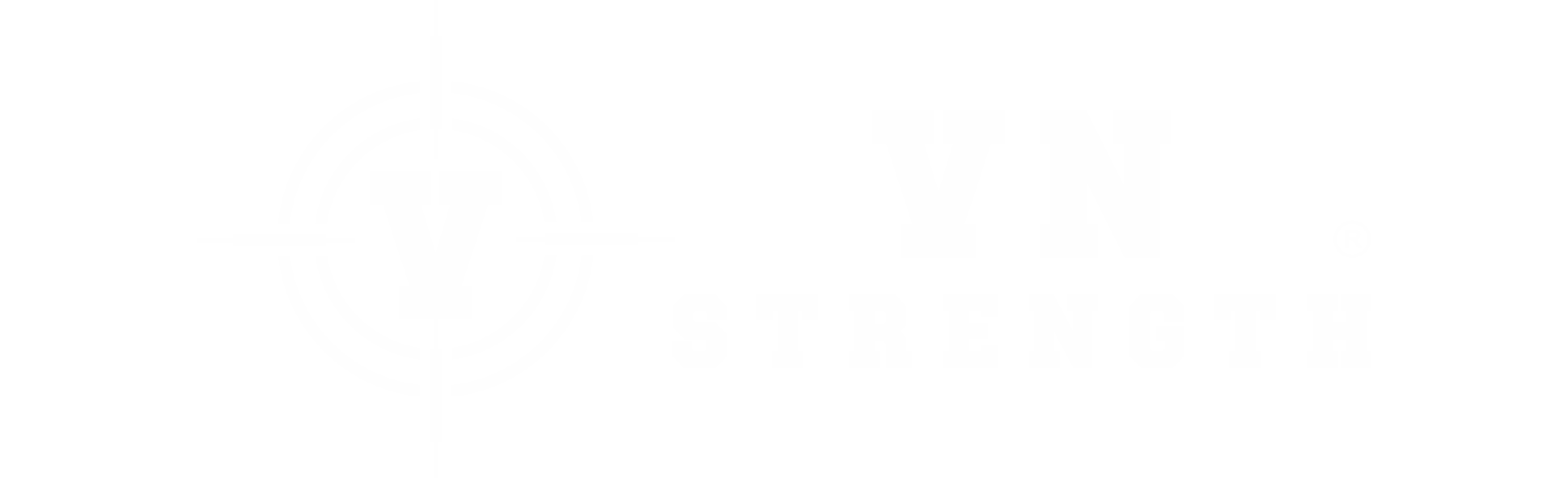 logo VN-STRENGTH