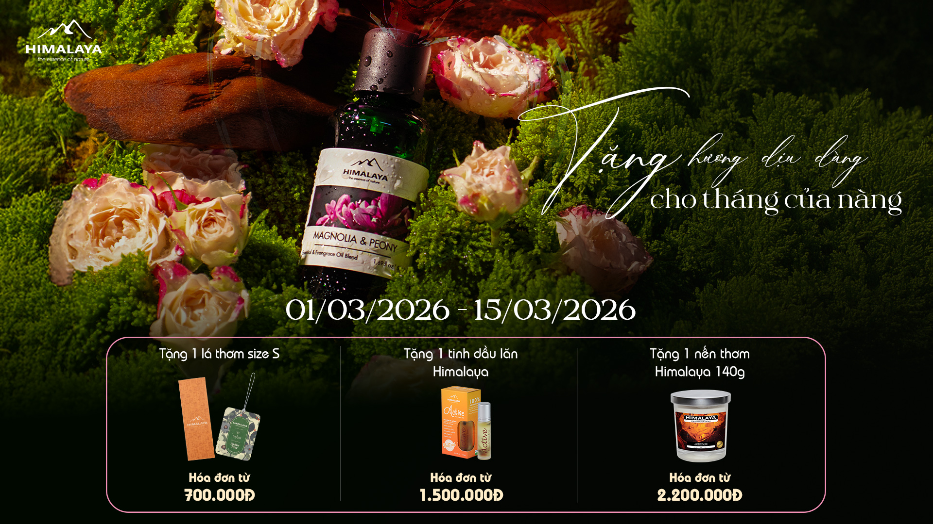 Chương trình khuyến mãi T3/2026