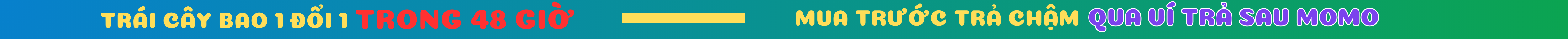 top banner