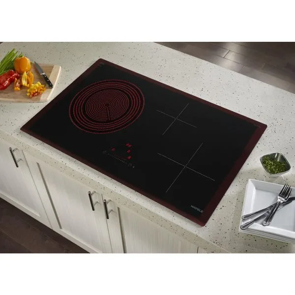 Bếp từ kết hợp hồng ngoại