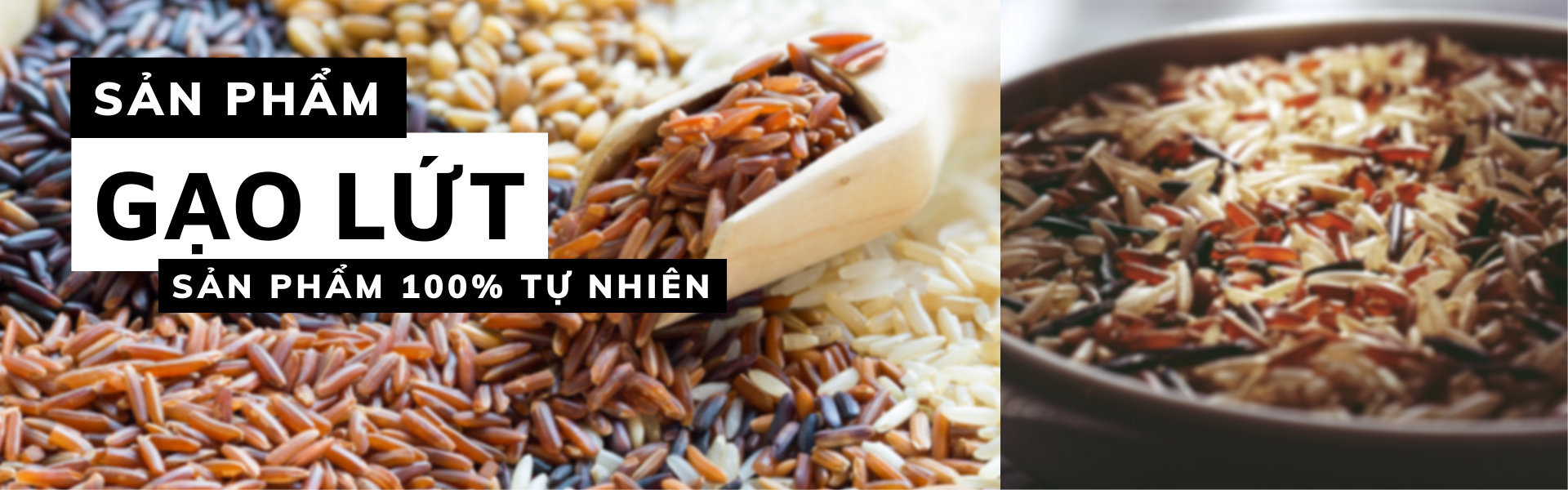 	Sản phẩm nổi bật 