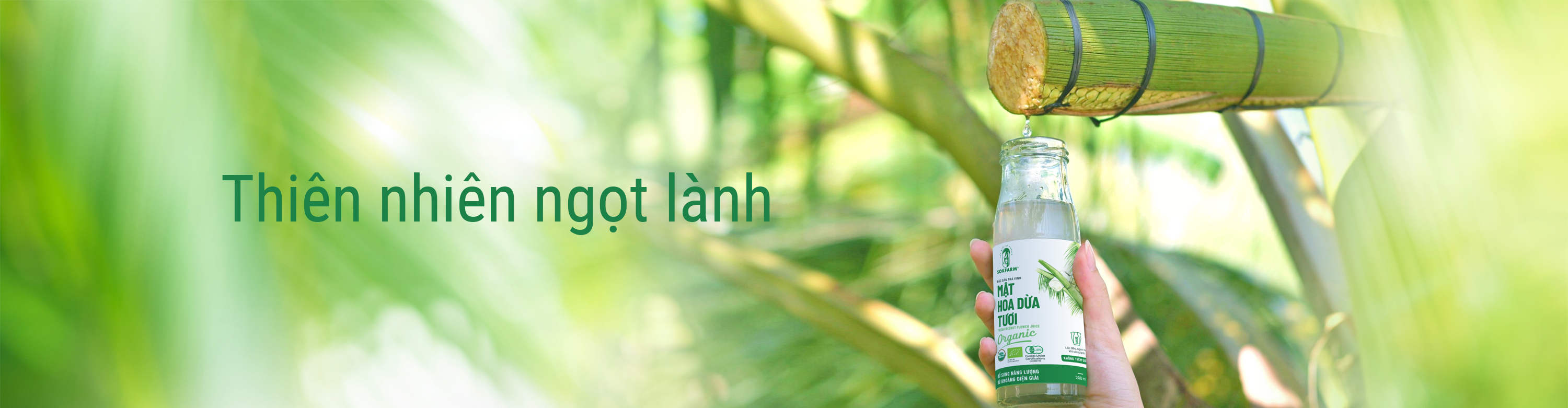 	Sản Phẩm Thuần Thực Vật  100% 