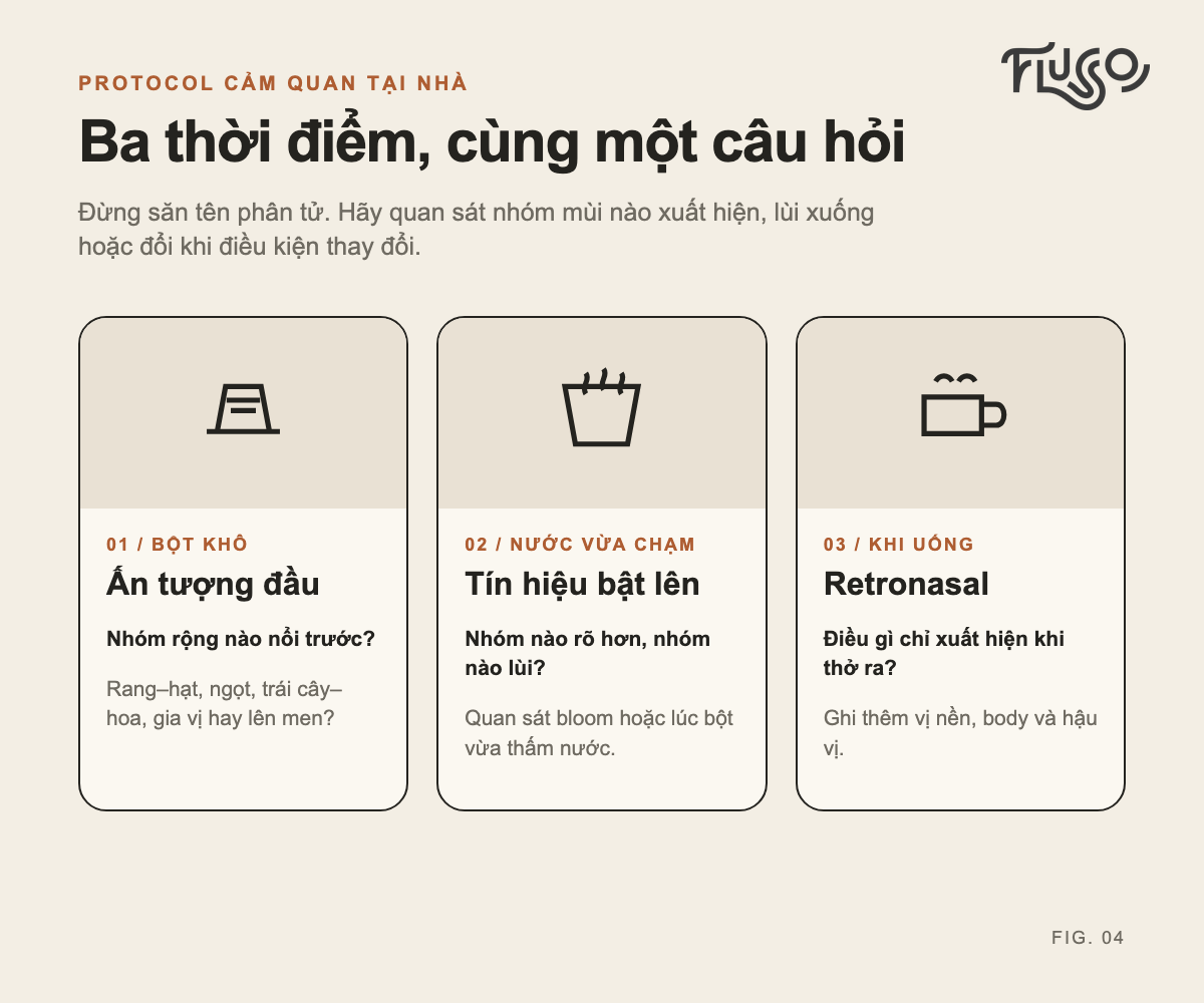 Protocol cảm quan ba thời điểm gồm bột khô, nước vừa chạm và khi uống