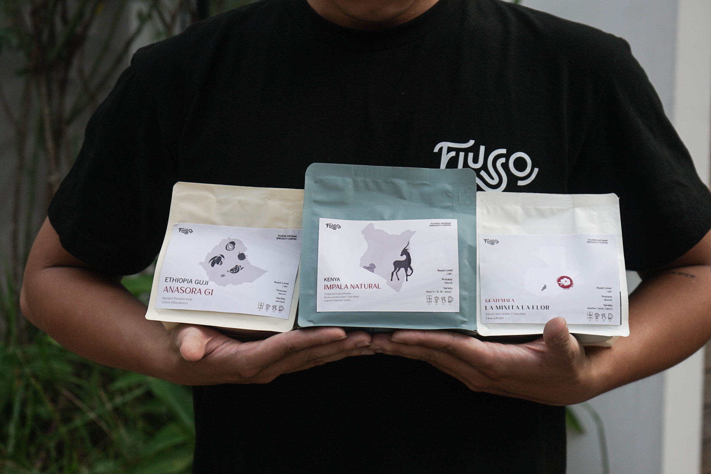 Cà phê cherry chín đỏ trên cành